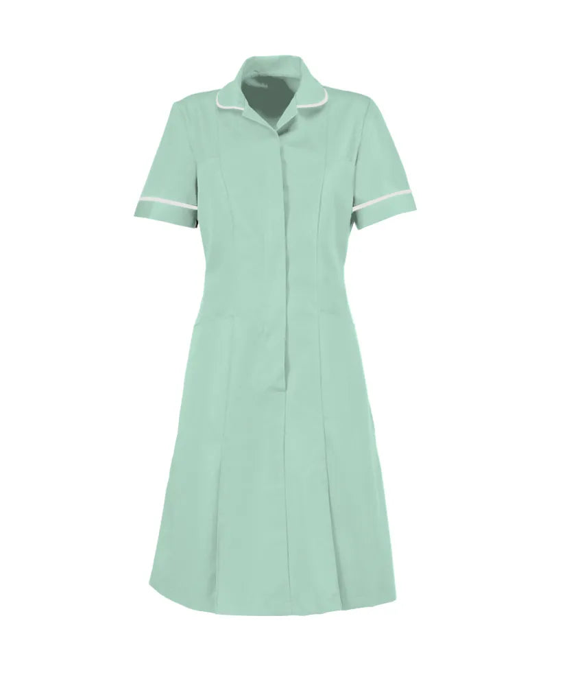 Classic Female Healthcare Dress HP297