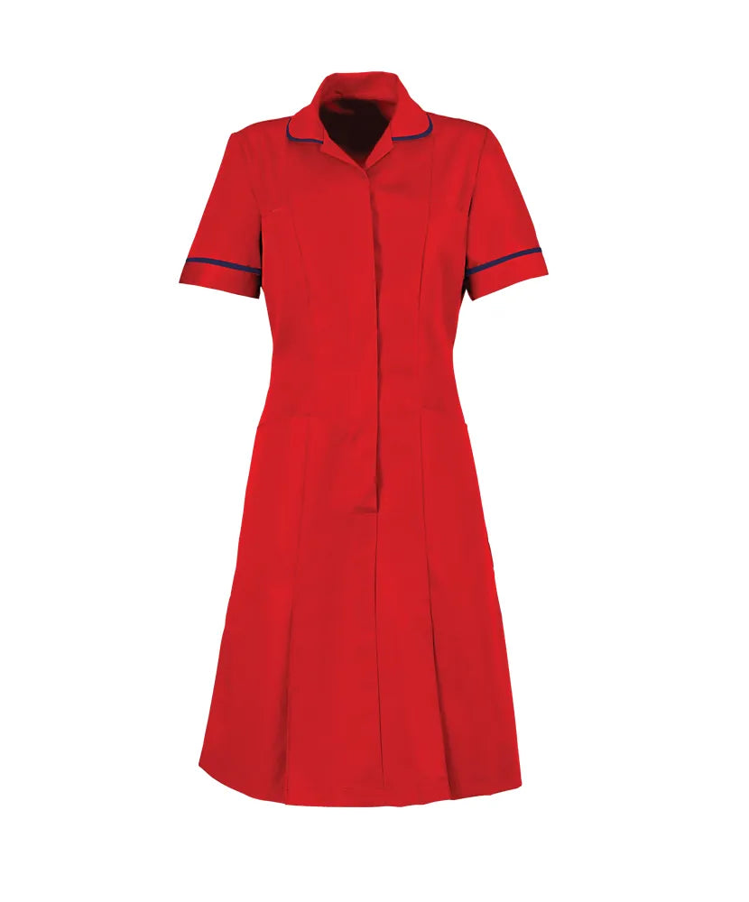 Classic Female Healthcare Dress HP297