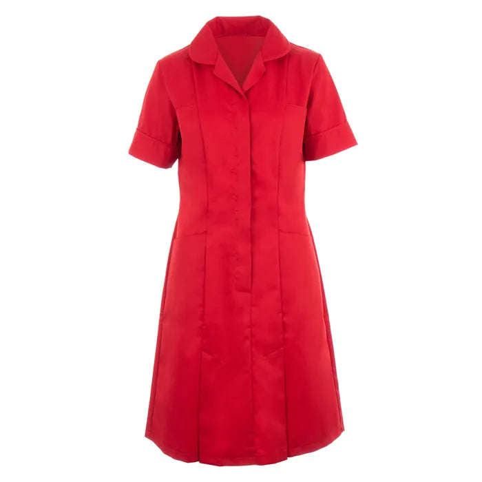 Classic Female Healthcare Dress HP297