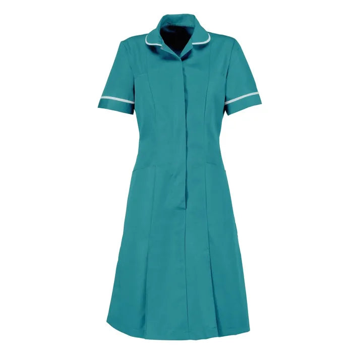 Classic Female Healthcare Dress HP297