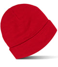 Pro Beanie RX290
