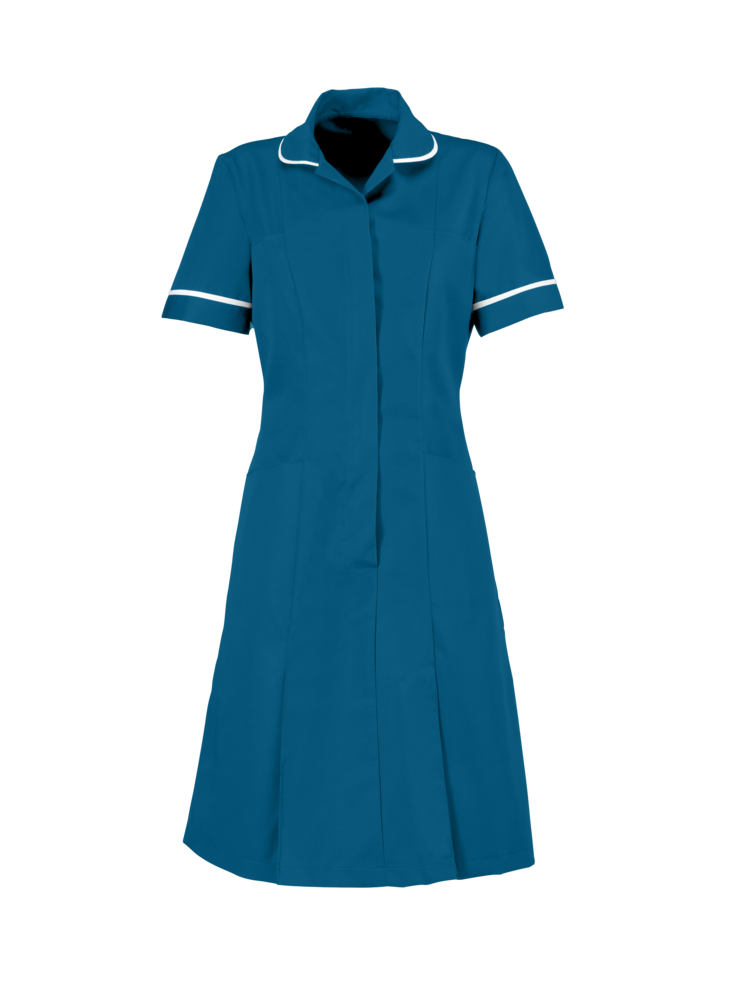 Classic Female Healthcare Dress HP297